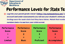 Performance Levels for State Testing